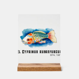 Watercolor Series: Koi Fish アクリルサイン