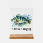 Watercolor Series: Perch アクリルサイン (正面)