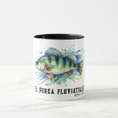 Watercolor Series: Perch マグカップ (中央)