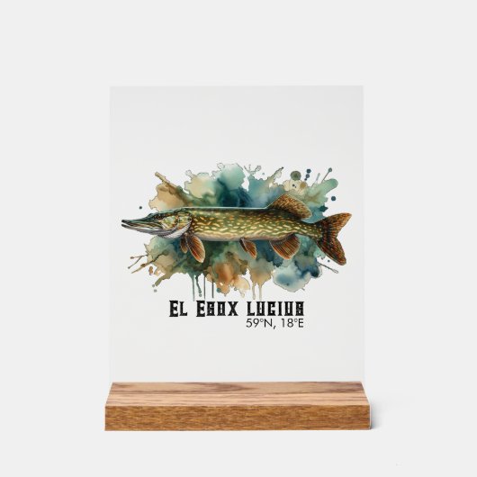 Watercolor Series: Pike アクリルサイン (正面)