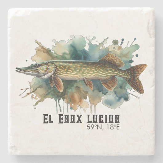 Watercolor Series: Pike ストーンコースター (正面)