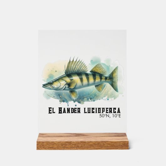 Watercolor Series: Zander/Walleye アクリルサイン (正面)