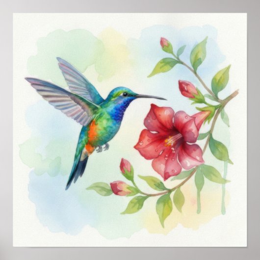 Watercolor Small Hummingbird ポスター (正面)