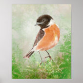 Watercolor Stonechat Bird  Nature Art ポスター (正面)