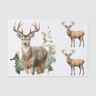Watercolor Style Illustrations - 3 Male Deer Bucks 薄葉紙