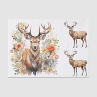 Watercolor Style Illustrations of Male Deer Bucks 薄葉紙