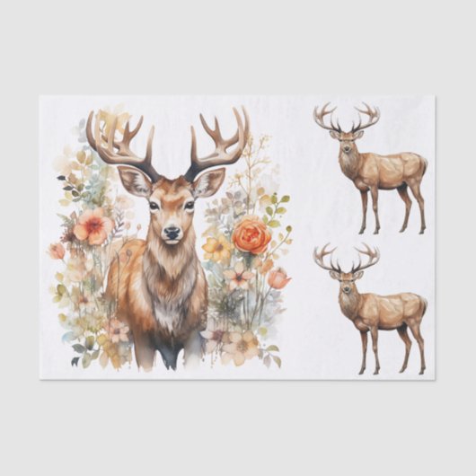 Watercolor Style Illustrations of Male Deer Bucks 薄葉紙 (正面)