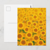 Watercolor Sunflowers 🌻 ポストカード (正面/裏面)