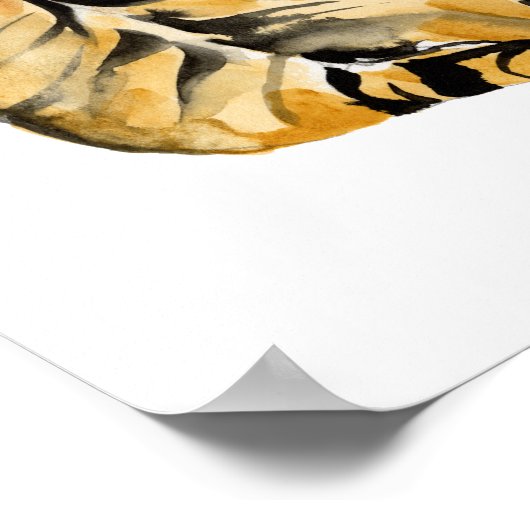 Watercolor Tiger Sitting ポスター (角)