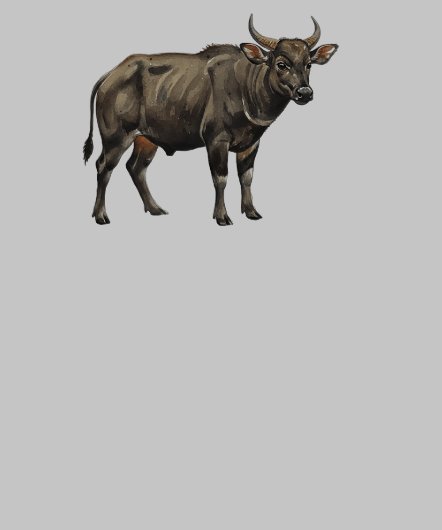 Watercolor Water Buffalo Illustration (襟)