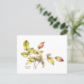 Watercolor wildflower barberry postcard ポストカード (スタンド正面)