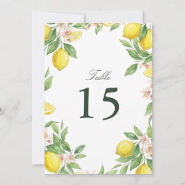 Watercolor Wreath Mediterranean Citrus Wedding