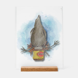 Watercolour Australian magpie table art アクリルサイン