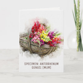 Watercolour Blooms | Snapdragon Witty 母の日 シーズンカード