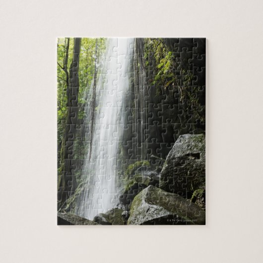 Waterfal、雨林で、ドミニカのエメラルドのプール ジグソーパズル (縦)