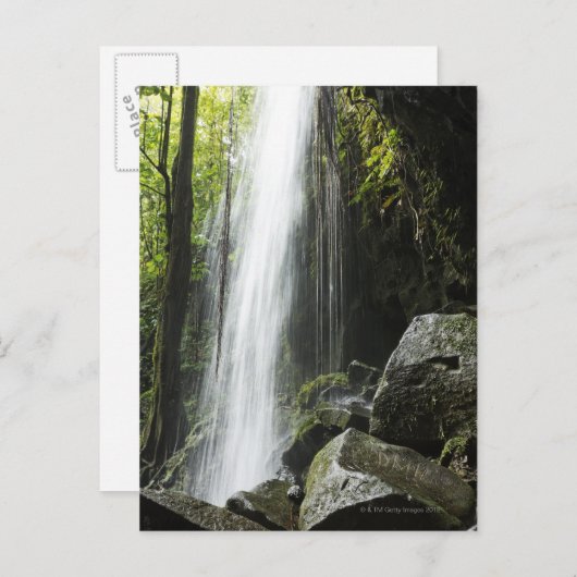 Waterfal、雨林で、ドミニカのエメラルドのプール ポストカード (正面/裏面)