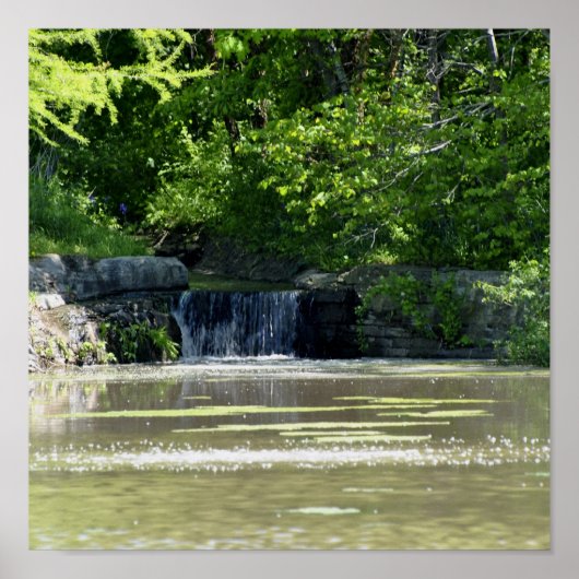 waterfall ポスター (正面)