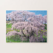 waterfall cherry blossom tree ジグソーパズル (横)