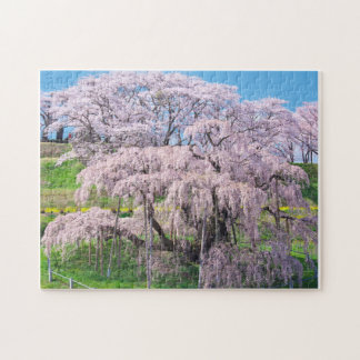 waterfall cherry blossom tree ジグソーパズル