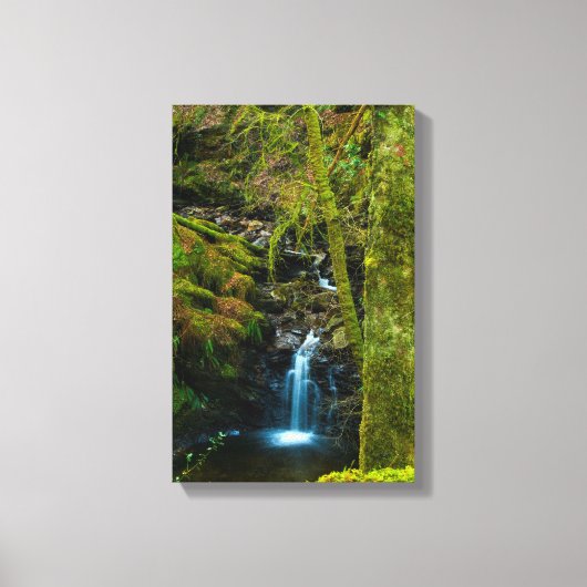 Waterfall in Argyll, Scotland Canvas print キャンバスプリント (正面)