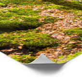 Waterfall in Argyll, Scotland Poster ポスター (角)