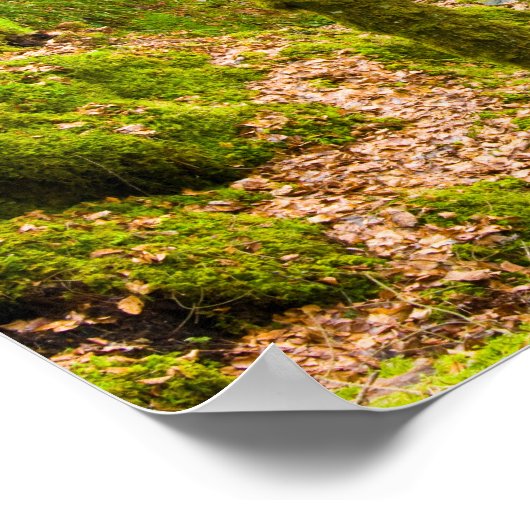 Waterfall in Argyll, Scotland Poster ポスター (角)