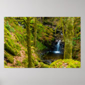 Waterfall in Argyll, Scotland Poster ポスター (正面)