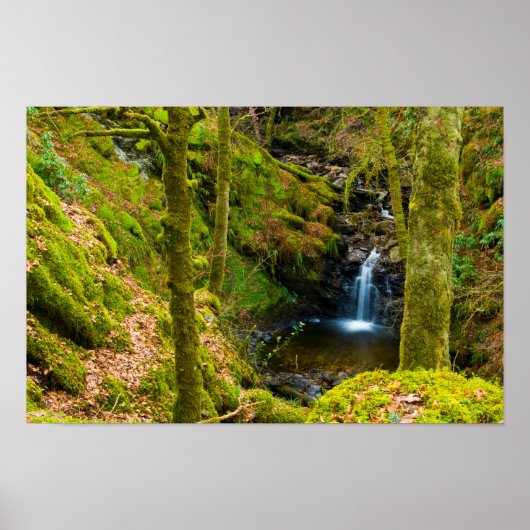 Waterfall in Argyll, Scotland Poster ポスター (正面)