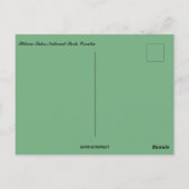 Waterfalls at Plitvice Lakes National Park Croatia ポストカード (裏面)