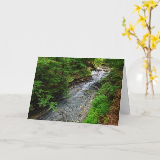 Waterfalls | Cuyahoga Valley Ohio カード (黄色い花)