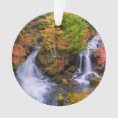 Waterfalls | Faucet Waterfalls Nikko Japan Fall オーナメント (正面)