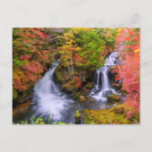 Waterfalls | Faucet Waterfalls Nikko Japan Fall ポストカード (正面)
