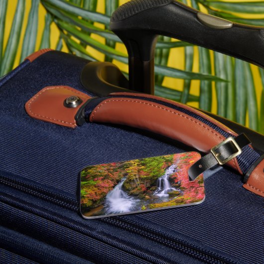 Waterfalls | Faucet Waterfalls Nikko Japan Fall ラゲッジタグ (正面インサイチュ3)