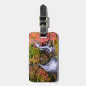Waterfalls | Faucet Waterfalls Nikko Japan Fall ラゲッジタグ (正面縦)