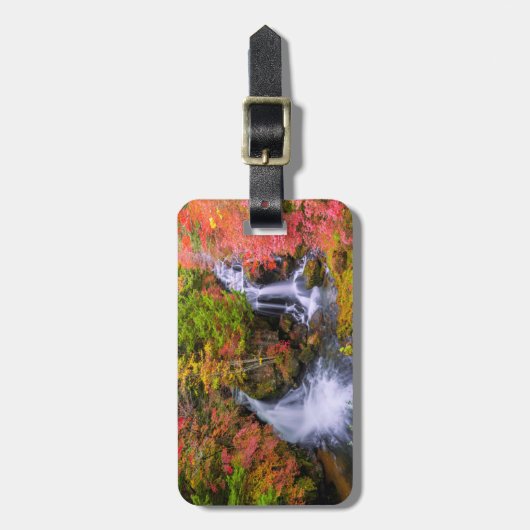 Waterfalls | Faucet Waterfalls Nikko Japan Fall ラゲッジタグ (正面縦)