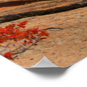 Waterfalls | Fitz Roy Mountain, Argentina ポスター (角)