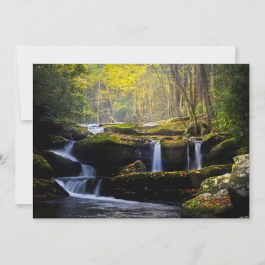 Waterfalls | Great Smoky Mountain National Park サンキューカード (正面)