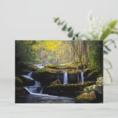 Waterfalls | Great Smoky Mountain National Park サンキューカード (スタンド正面)