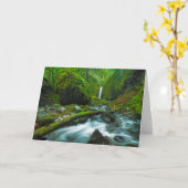 Waterfalls | Grotto Falls, Oregon カード (黄色い花)
