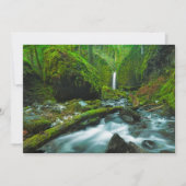 Waterfalls | Grotto Falls, Oregon サンキューカード (正面)