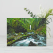 Waterfalls | Grotto Falls, Oregon サンキューカード (スタンド正面)