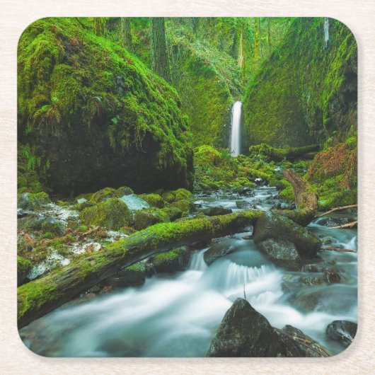 Waterfalls | Grotto Falls, Oregon スクエアペーパーコースター (正面)