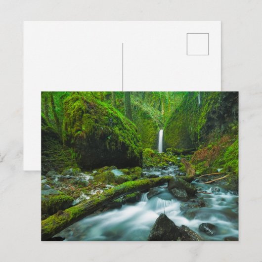 Waterfalls | Grotto Falls, Oregon ポストカード (正面/裏面)