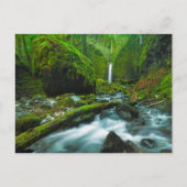 Waterfalls | Grotto Falls, Oregon ポストカード (正面)
