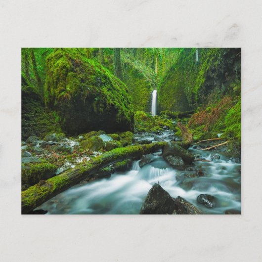 Waterfalls | Grotto Falls, Oregon ポストカード (正面)
