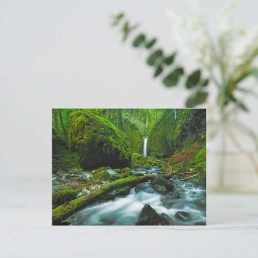 Waterfalls | Grotto Falls, Oregon ポストカード (スタンド正面)