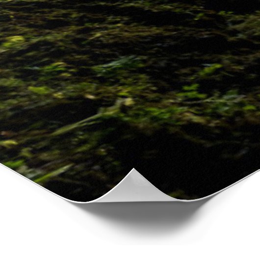 Waterfalls | Icelandic Waterfall ポスター (角)