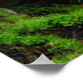 Waterfalls | Kirkjufell, Iceland ポスター (角)