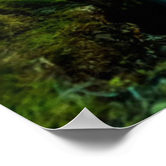 Waterfalls | Kirkjufellfoss Waterfall, Iceland ポスター (角)