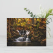 Waterfalls | New England Connecticut サンキューカード (スタンド正面)